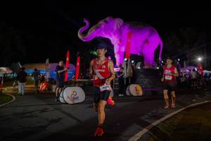 BIB: 
                            <button type="button" onclick="openModal(26552155)" class="btn btn-primary btn-sm float-right btn-popup" data-toggle="modal" data-target=".modal-high-quality">
                        <i class="fas fa-shopping-cart"></i> Add to Cart
                    </button>
                                            <button type="button" onclick="isThisMe(26552155, true)" class="btn btn-success btn-sm float-right btn-popup btn-isme hidden" data-toggle="tooltip" data-placement="bottom" title="นี่คือรูปของคุณใช่ไหม คลิกที่นี่เพื่อเอาเข้าอัลบั้ม">
                        <i class="fas fa-plus"></i> Add to album
                    </button>
                    <button type="button" onclick="isThisMe(26552155, false)" class="btn btn-warning btn-sm float-right btn-popup btn-isnotme hidden">
                        <i class="fas fa-ban"></i> Remove from album
                    </button>